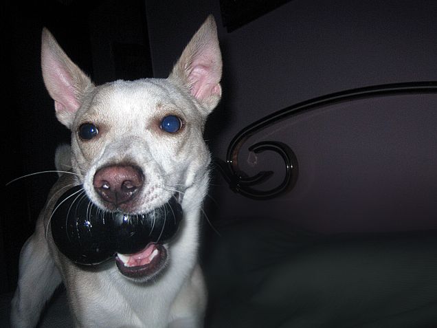 Oggi sono ancora sveglio