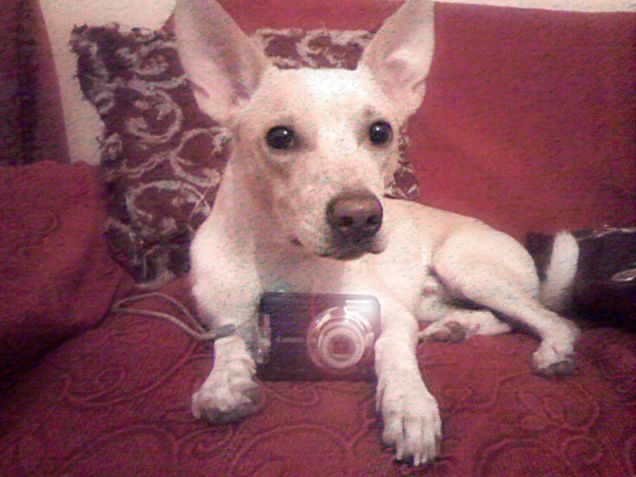 Ora ti scatto io le  foto tiè!