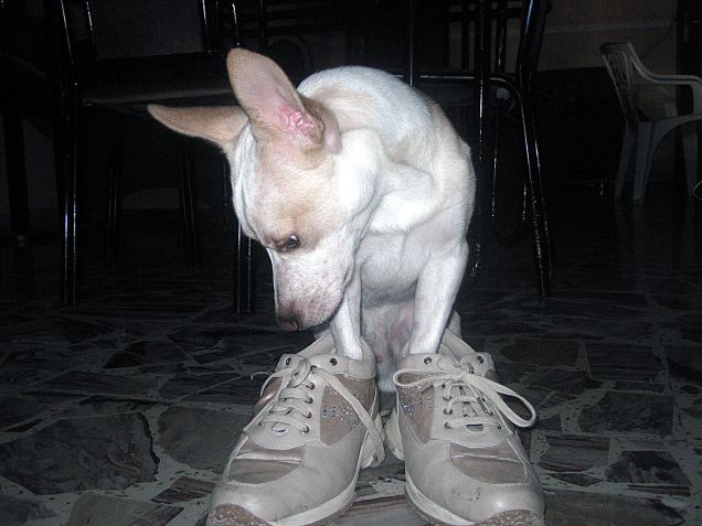 Ma forse sono un po' grandine...