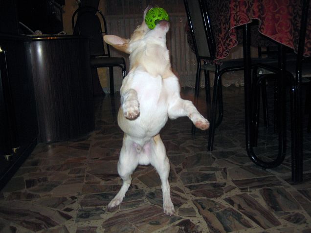 La nostra energia non finisce mai