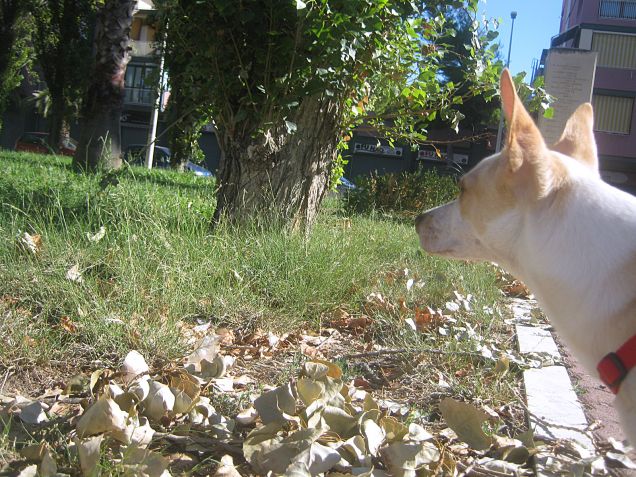 Osservando la natura