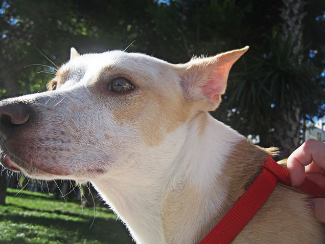 Se un giorno fosse di 48 ore? scatterei 480 foto ai tuoi occhi splendenti