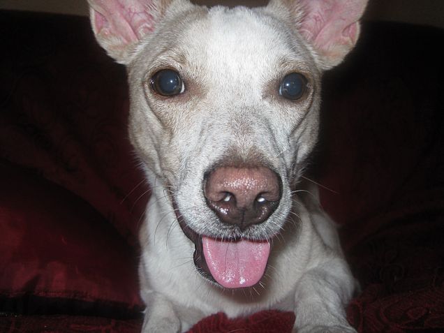 Il sorriso che piace a me