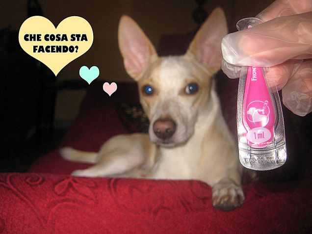 Prevenire è meglio che curare