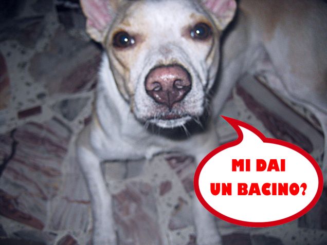 Mi dai un bacio?