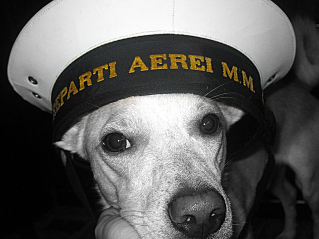 Il mio lupetto d'aria :)