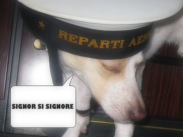 Signor Si Signore