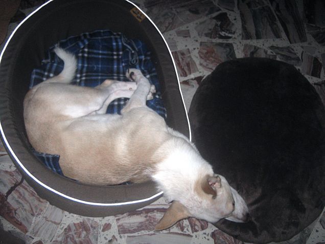 Modo alternativo per dormire