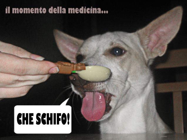 Cari dog sitter anche la salute dei piccoli è importante