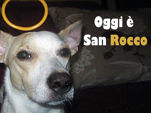 Oggi è San Rocco
