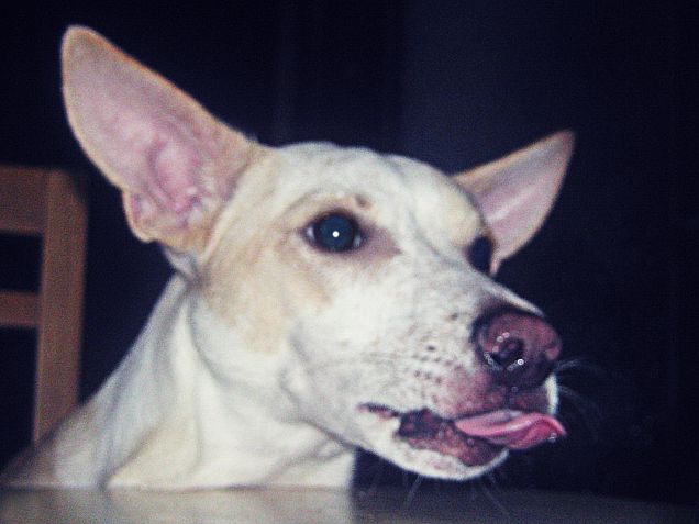 Prrr pernacchia a tutti :)