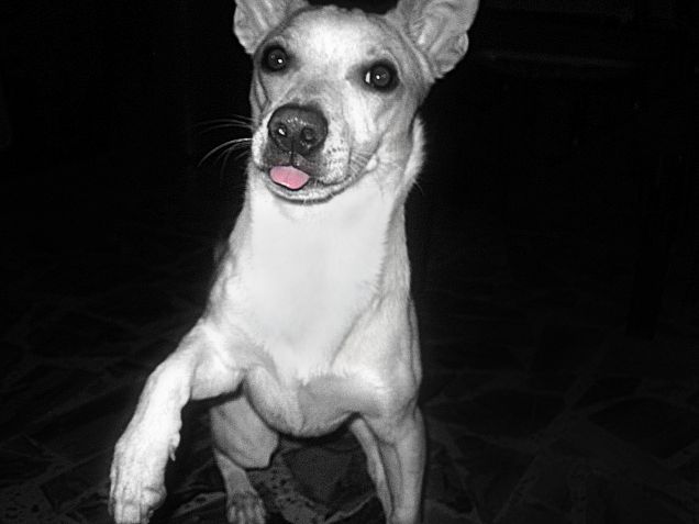 Crede di conquistare il mondo ma con questo faccino dolce ha conquistato me :)