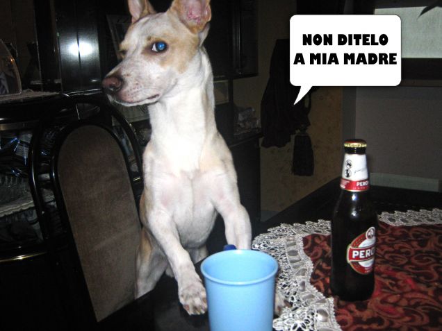 Ubriaco...di vita! (leggere descrizione)