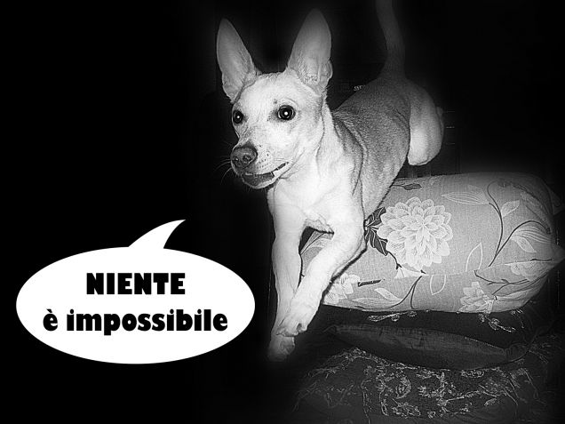 Non c'è ostacolo che ci blocchi