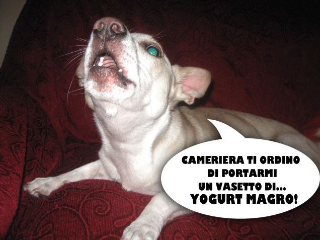 Agli ordini signore!
