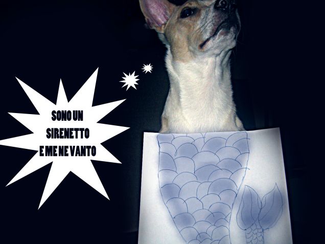 Sono un sirenetto :)