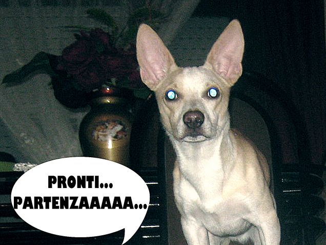 Pronti... Partenza............