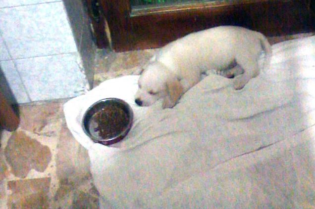 Tutto ha avuto inizio qui... 24-08-2015 Auguri a noi due amore mio