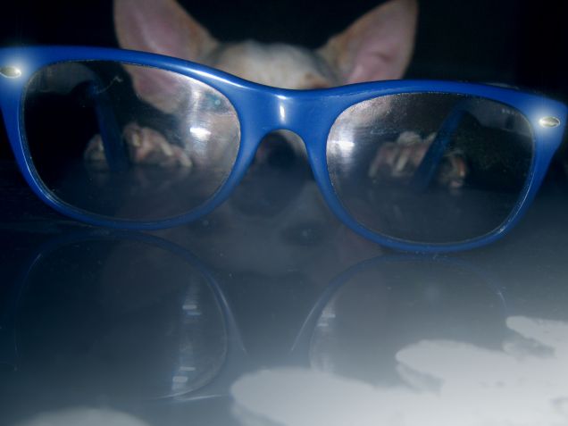 E' per vedervi meglio