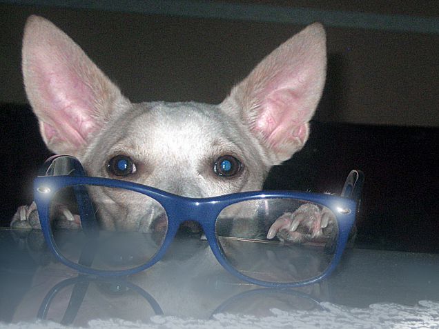 Il professor Rocco :)