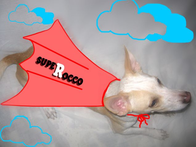 Il mio supereroe di ogni giorno