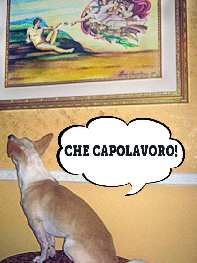 Rocco amante dell'arte :)