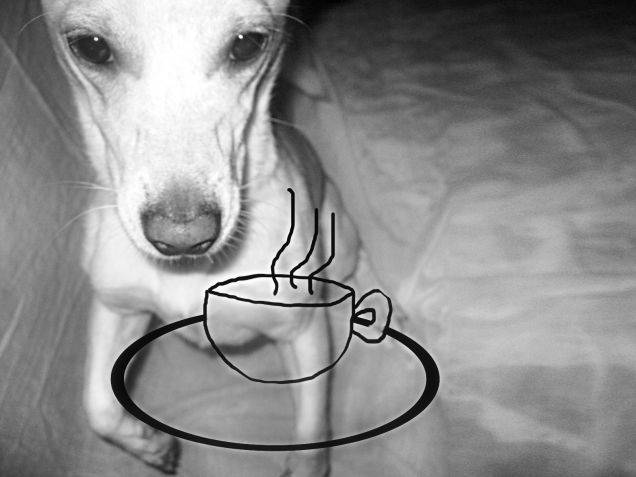 Chi vuole un caffè?