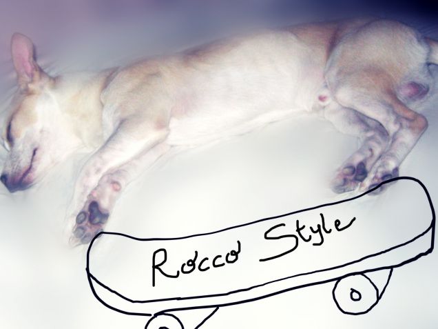 Facciamo un giretto... nei sogni!