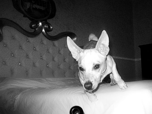 L'attimo prima del grande salto