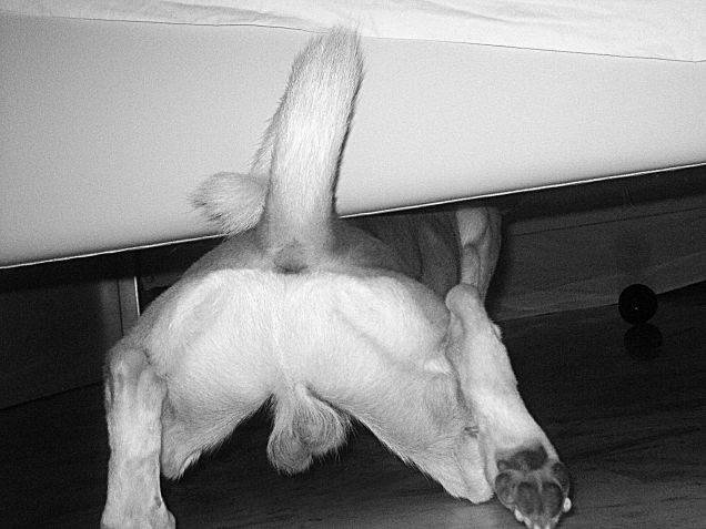 Come infilarsi ovunque :)