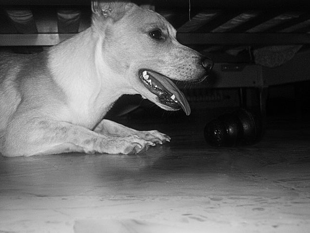 Un po' di pausa... Stanchezza e caldo, qui è più fresco