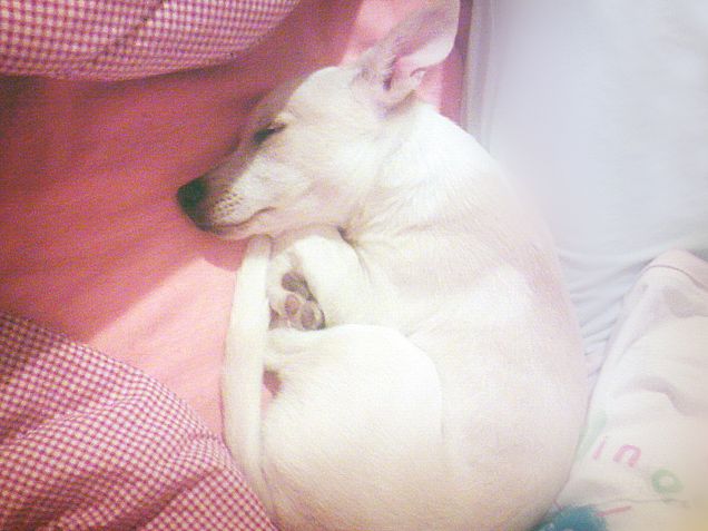 una pallina d'amore :)