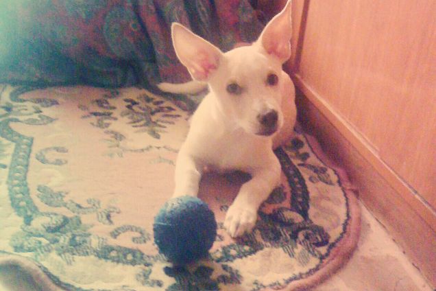 Ha sempre avuto la stoffa del calciatore :)