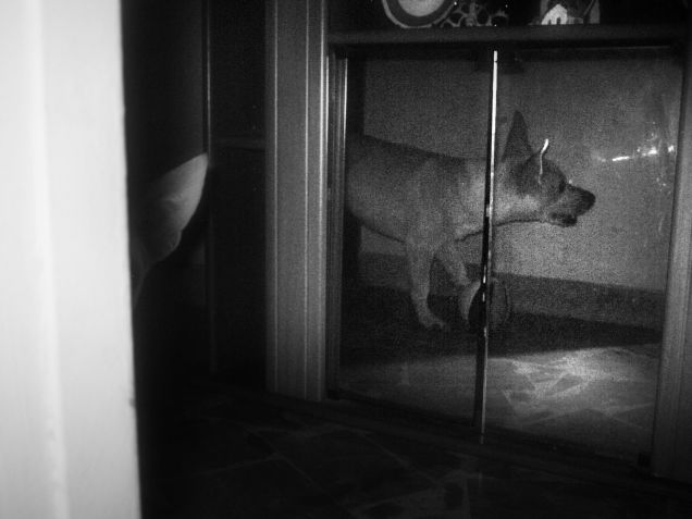  tranquillo amore non ti vedo mentre mi stai spiando