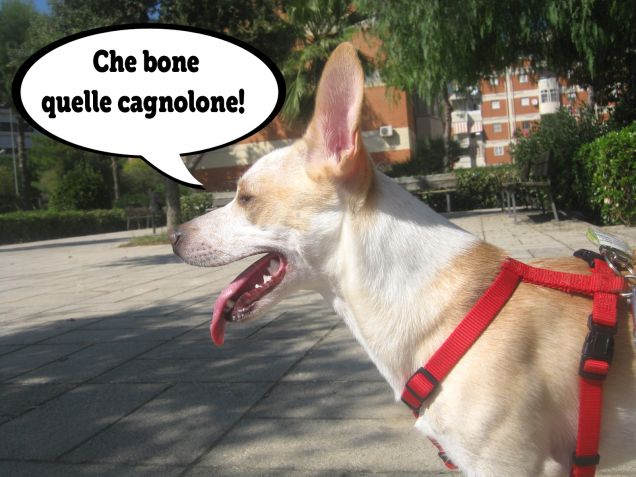 Incontri in passeggiata