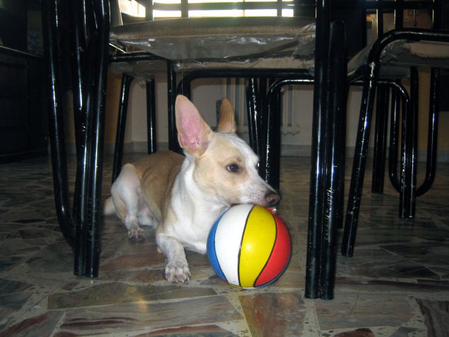 Anche con la stanchezza custodisco la palla ahahah