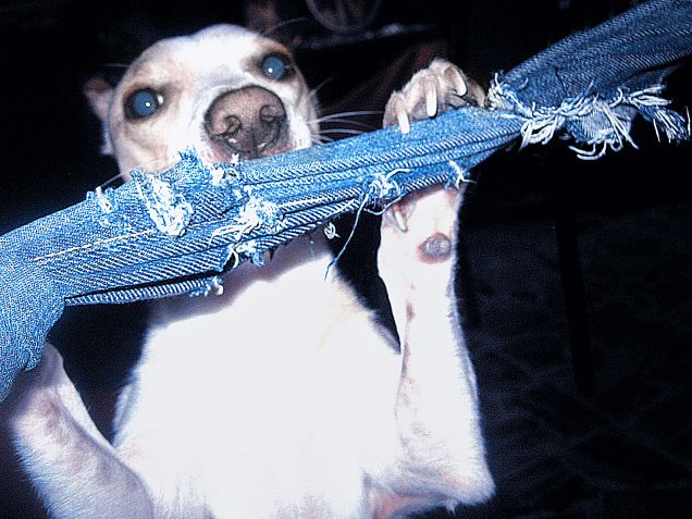 Quelli che un tempo erano miei pantaloni :)