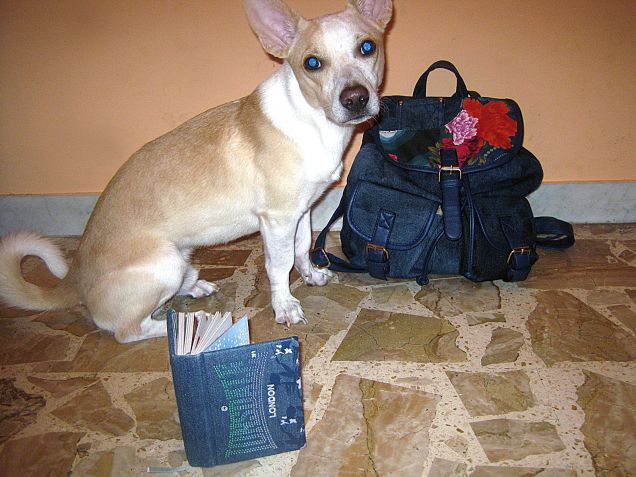 Adesso si prepariamo per andare alla bau-scuola :D