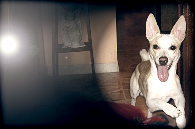 La bua non c'è più. Ora siamo felici