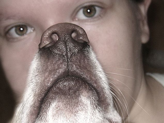 Il tartufo che vorrei :D