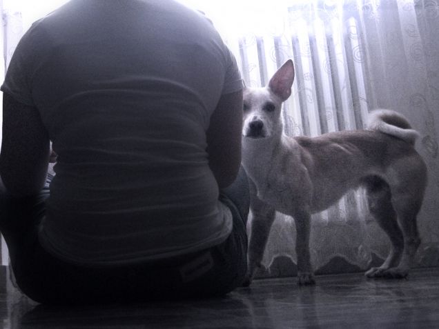 Mi guarda le spalle :D