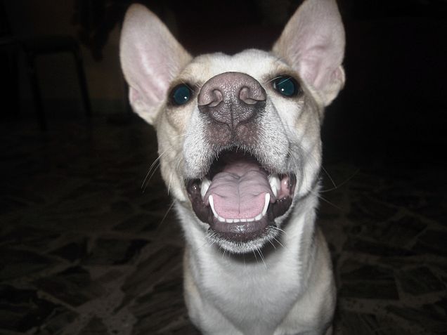 Il sorriso che ti cambia la giornata :)