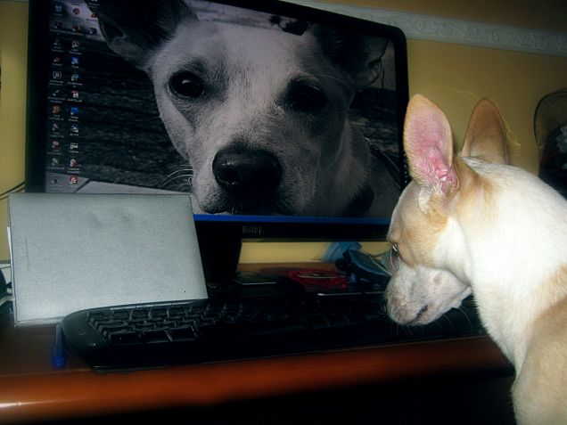 Vediamo come funziona il pc