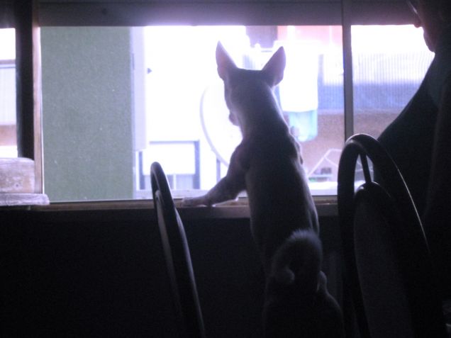 Qualcosa di interessante