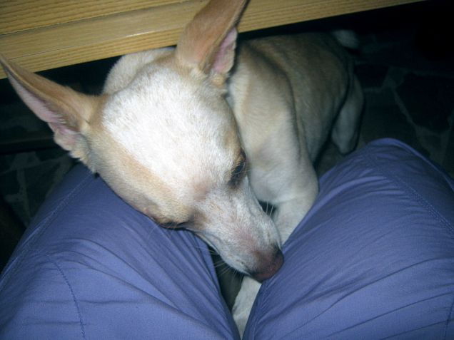 Mentre faccio colazione