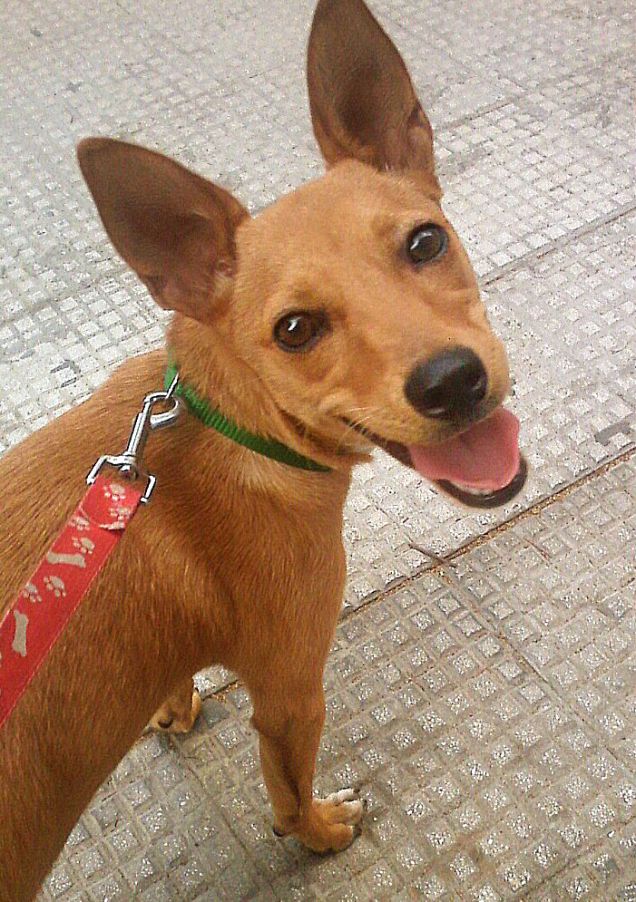 Un sorriso da Sharon :)