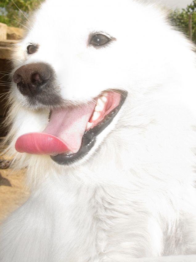 Il sorriso sarà sempre lo stesso