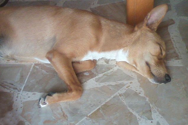 Crollata sul pavimento :D