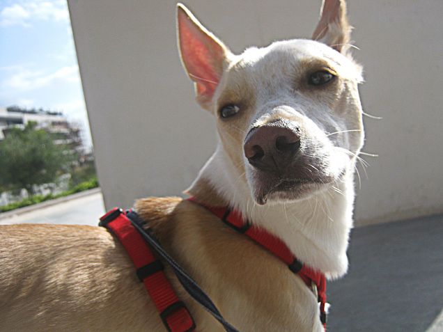  Versione Pensieroso :)