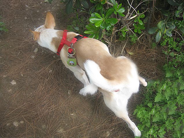 Esplorazione in campagna